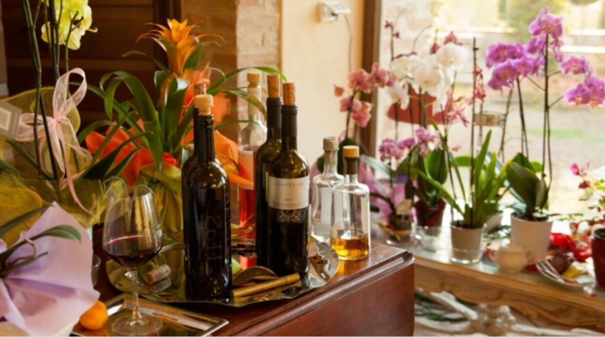 Cordella In Montalcino Wine Resort Exterior foto