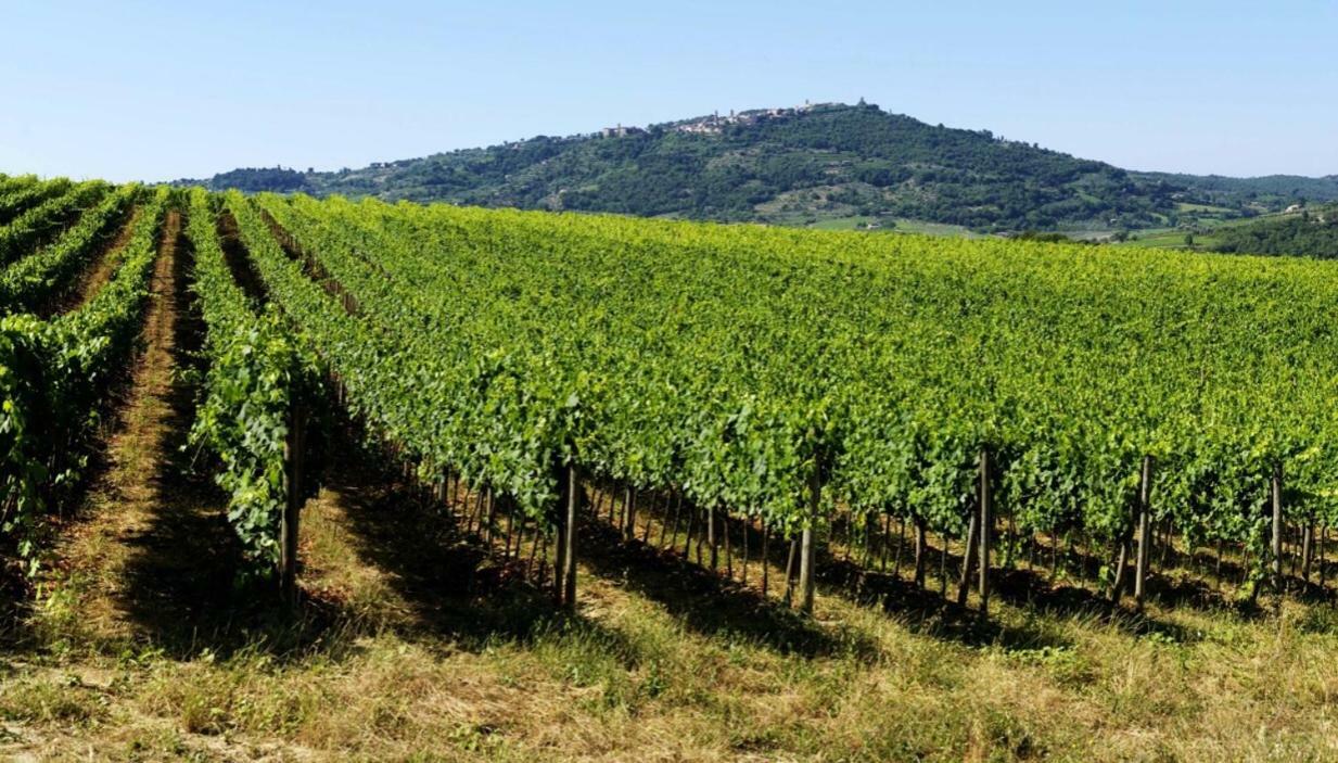 Cordella In Montalcino Wine Resort Exterior foto